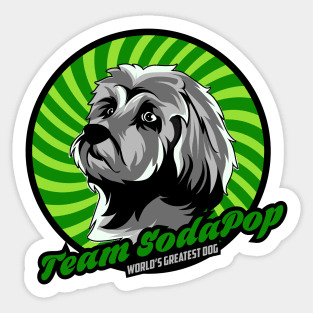 Team SodaPop! Sticker